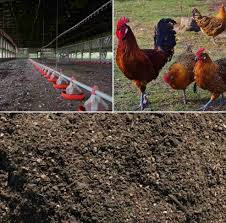 Manure