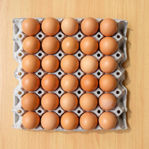Small Eggs(43g) - Tray of 30 Eggs